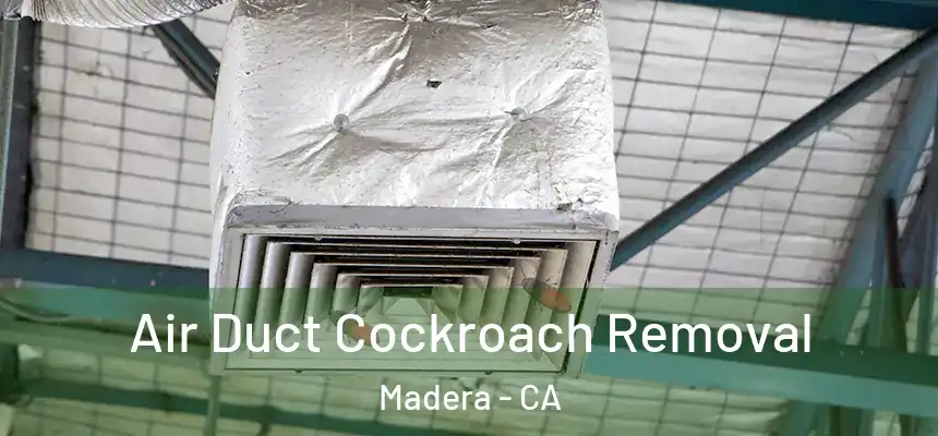 Air Duct Cockroach Removal Madera - CA