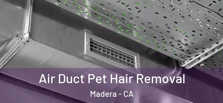 Air Duct Pet Hair Removal Madera - CA