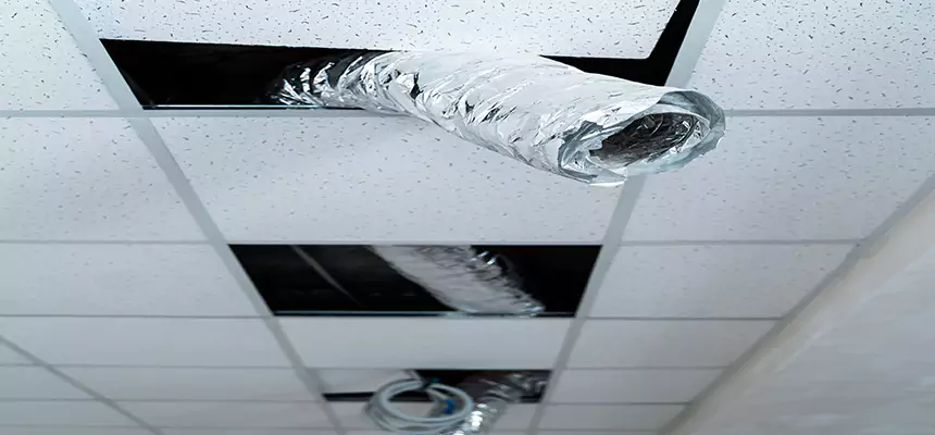 Our Air Duct Pet Hair Removal Services in Madera, CA