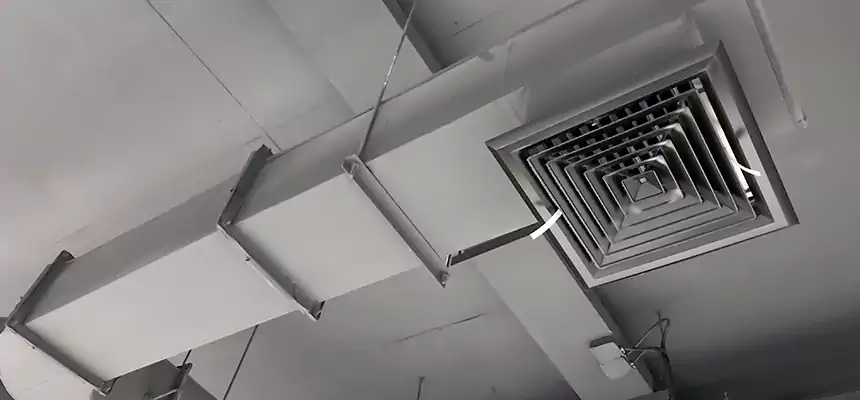 Our Pest Removal From Ducts Services in Madera, CA