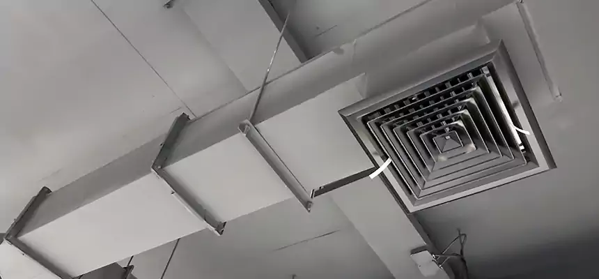 Our Rodent Droppings In Vents Services in Madera, CA