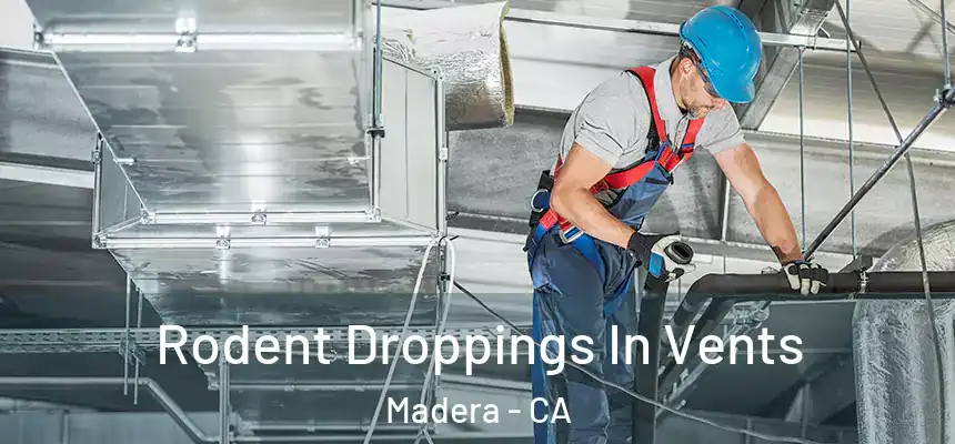  Rodent Droppings In Vents Madera - CA
