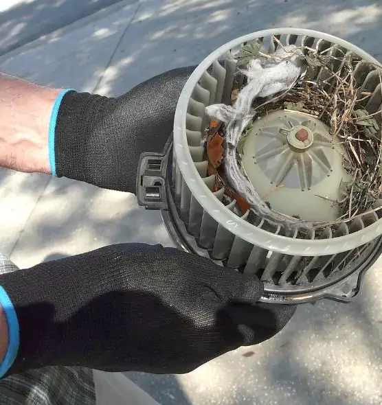 About Air Duct Rat Removal in Madera, CA