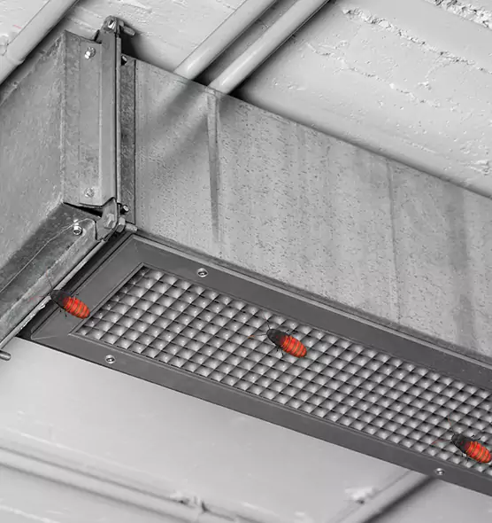 Affordable Insect Removal from Air Ducts in Madera, CA