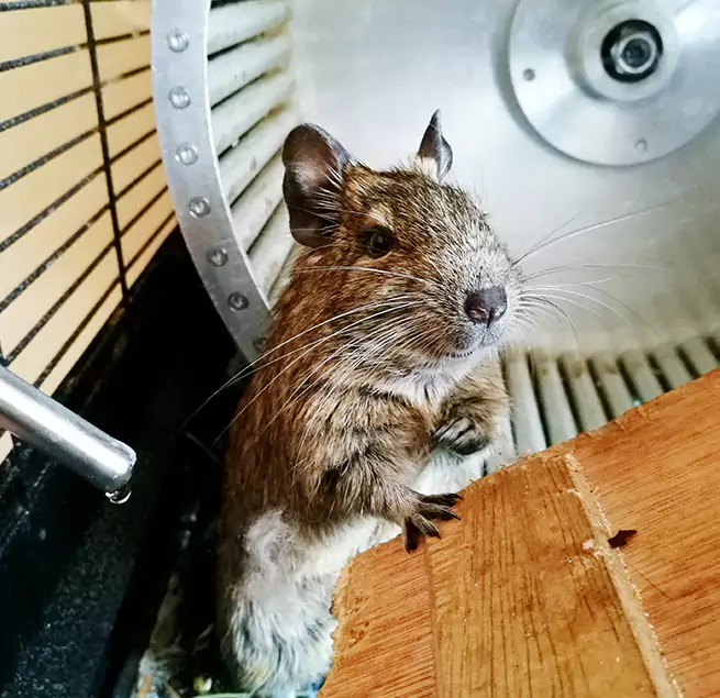 Why Homeowners & Businesses Trust Us Madera, CA?